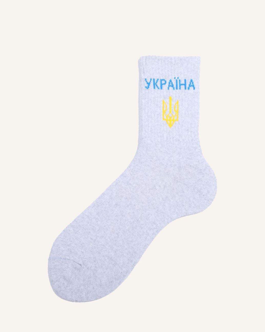 Носки мужские, демисезонные арт.9008